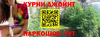 индика Моздок