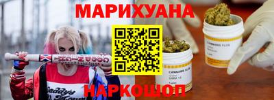 индика Моздок