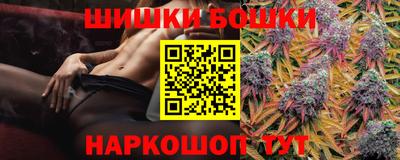 индика Моздок