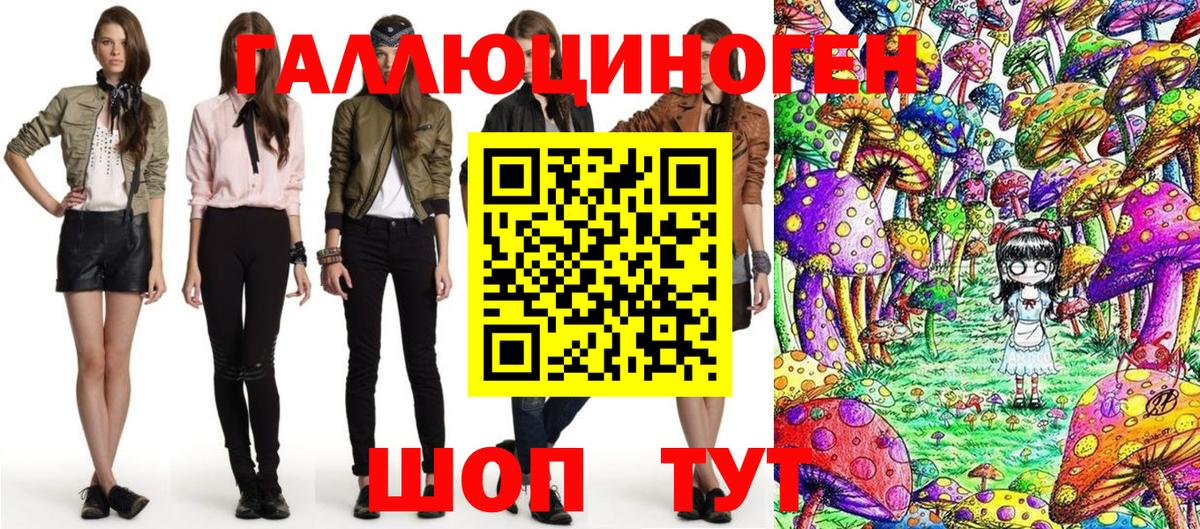 Сафоново  Галлюциногенные грибы Cubensis  Вход с VPN 